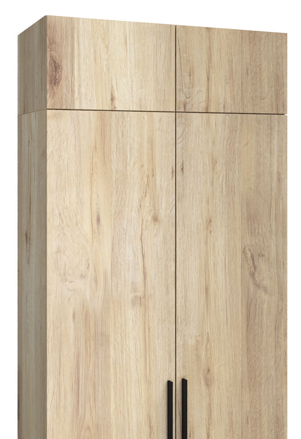 Двухдверные шкафы